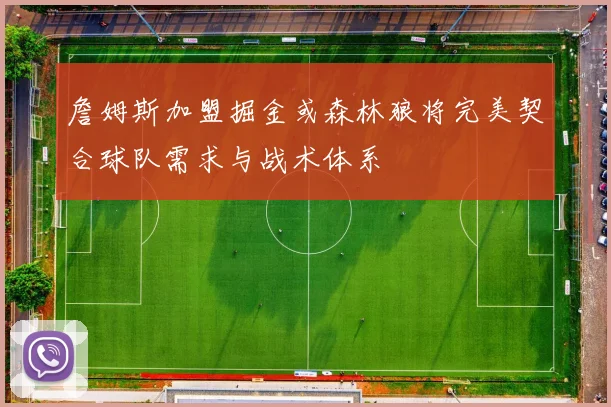 詹姆斯加盟掘金或森林狼将完美契合球队需求与战术体系