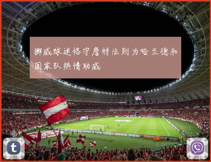 挪威球迷恪守詹特法则为哈兰德和国家队热情助威