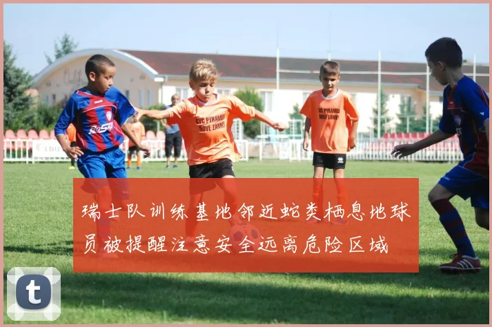 瑞士队训练基地邻近蛇类栖息地球员被提醒注意安全远离危险区域