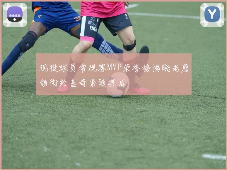 现役球员常规赛MVP荣誉榜揭晓老詹领衔约基奇紧随其后